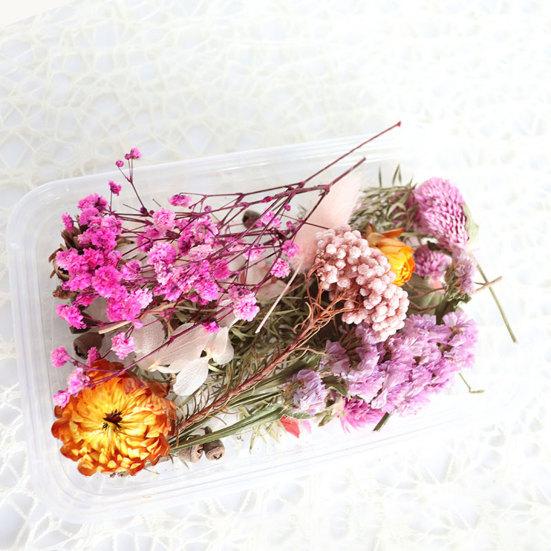 Dried Flowers Home Photography Props DIY Ornament Craft Specimen Accessories