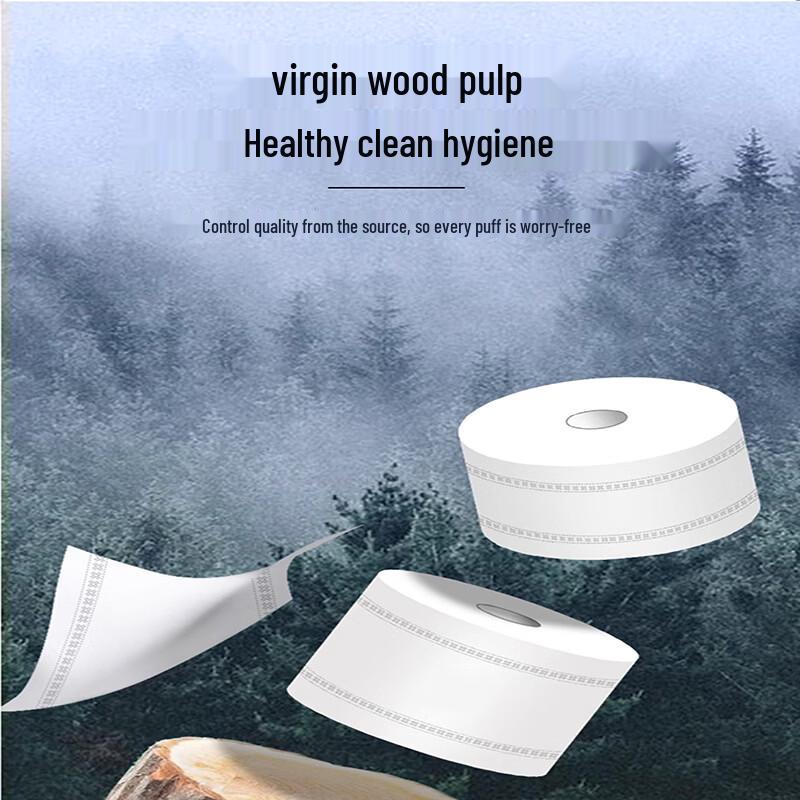 Dinuo Double-Layer Center-Pull Jumbo Roll Paper