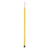 Swimming Pool Telescopic Rescue Pole