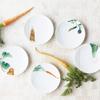 Noritake Plates (Set of 5) 15.5cm Kyoka Shunsai Design, Microwave and Dishwasher Safe, Fine Porcelain, F9931A/1620-38