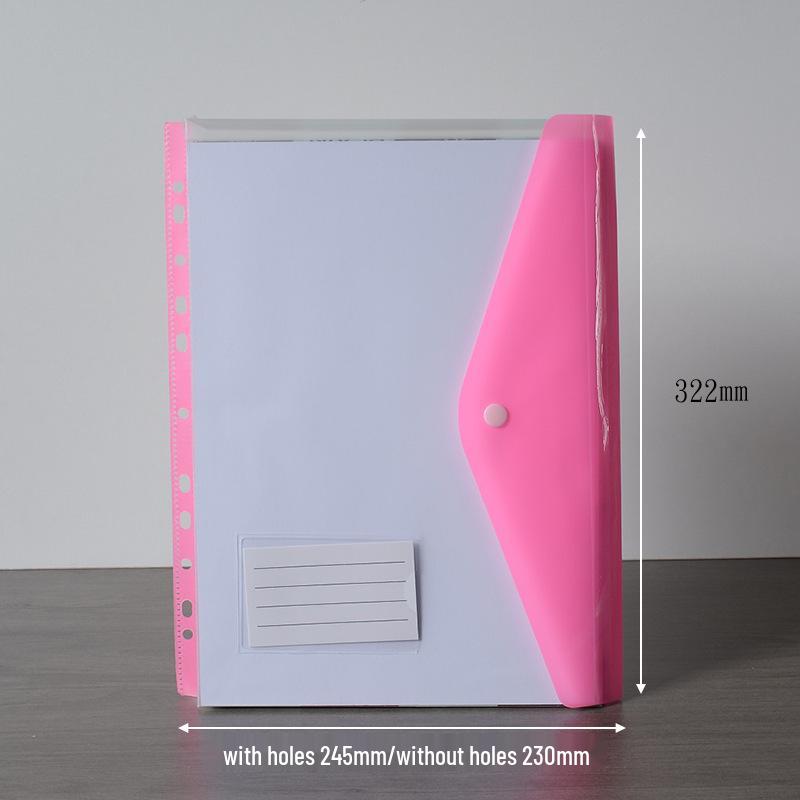 A4 11-Hole Vertical Loose-Leaf Document Bag with Colored Labels