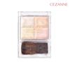 Mix Color Transparent Gradient Cheek Blusher