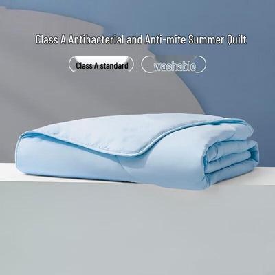 Qiaoxiuyyao Washable Anti-Mite Summer Cooling Quilt