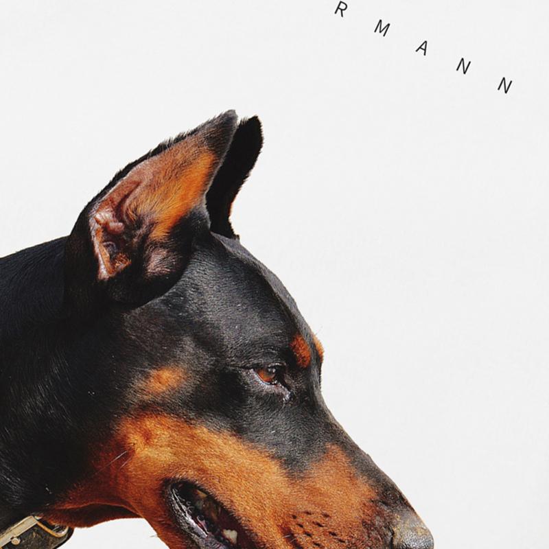 Streetwear Dobermann Graphic T-Shirt Cotton Unisex Tops Tees Summer Short Sleeves T Shirt