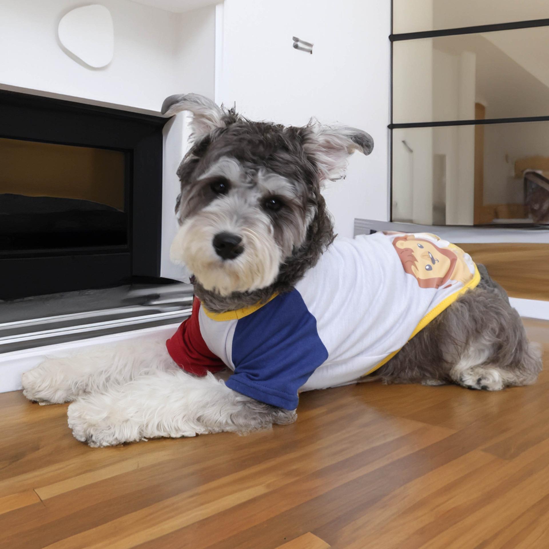 

Pet dog clothes summer thin vest Bichon teddy pet clothes manufacturer a small dog clothes 2XL