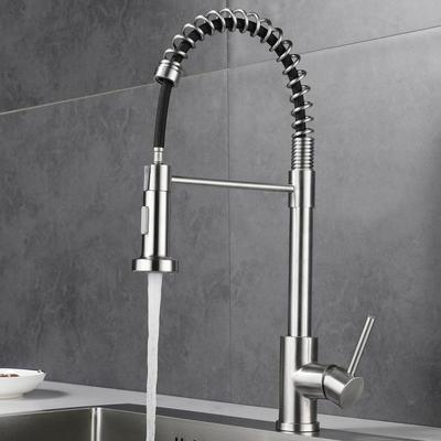 Cross-border Kitchen Dual Temp Stainless Steel Pull-out Faucet for Vegetable Sink