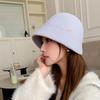 Autumn and Winter New Style Small Plush Letter Logo Korean Style Warm High Grade Bucket Hat for Women Outdoor Travel Hat