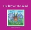 Libro The Boy & the Wind