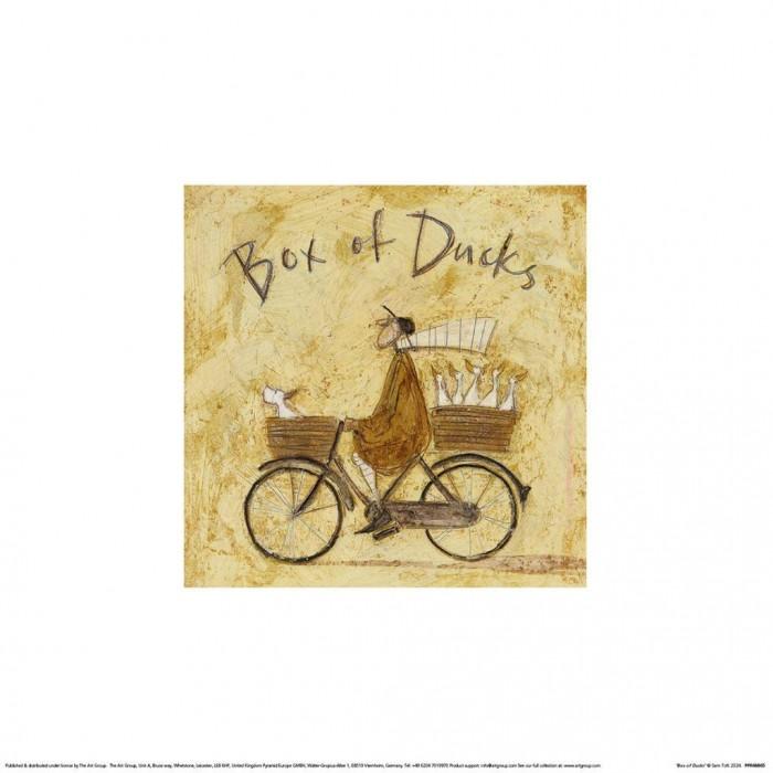 Sam Toft Box Of Ducks Poster