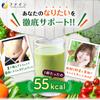 FINE JAPAN Replacement Diet Green Morning Smoothie Mixed Fruit Flavor Dietary Fiber 200g x 2 Made in Japan
