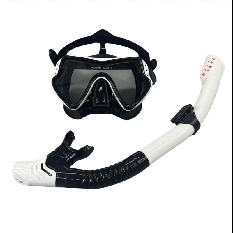 Alliance Envoy Full Dry Snorkel Set