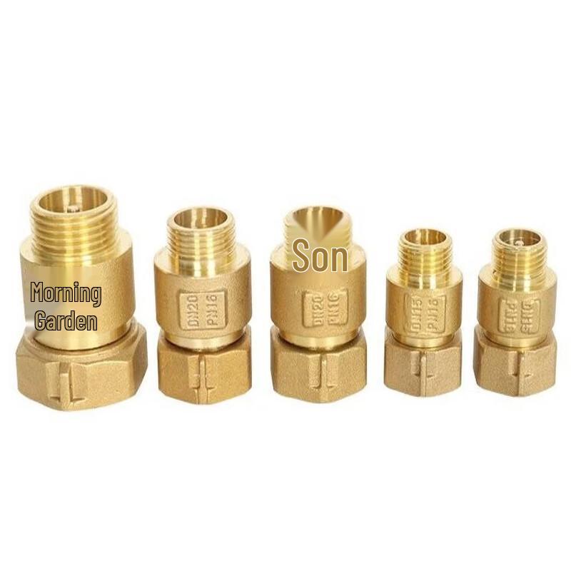 Zhu Gu Brass Telescopic Water Meter Check Valve