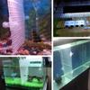 1pc 30x30cm Aquarium Fish Tank Isolation Divider Filter Patition Board Net Divider Holder Filter Accessories