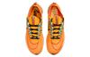 Nike Zoom Fly 4 'University Gold' DO2421-739