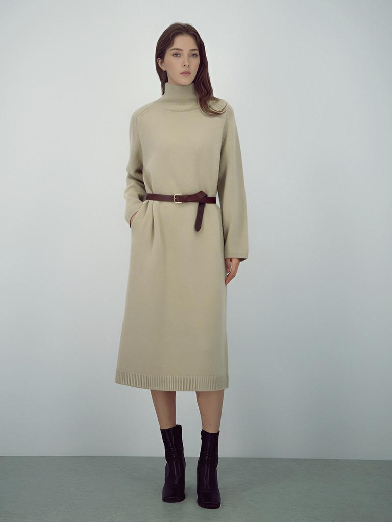 ACUD Turtleneck Wool Knit Dress