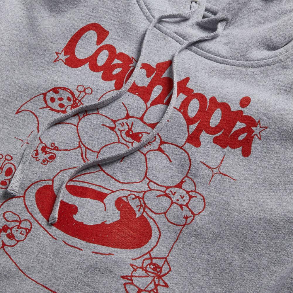 Coach Floral Print Hooded Long Sleeve Sweatshirt Unisex sweatshirt Gray CP881-GRM