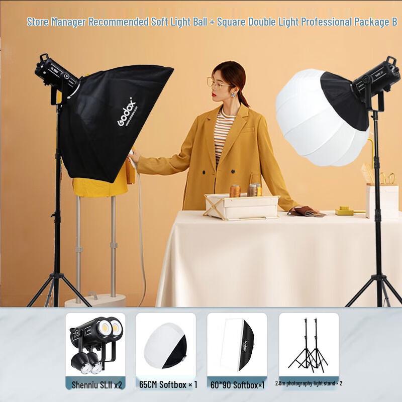 Godox SL200III Single Color Temperature LED Video Light Dual Kit