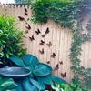 15 Peças Decoração de Parede Borboleta de Metal, Arte de Jardim de Ferro Rústico 3D para Cerca Externa Pátio, Conjunto de Ornamentos à Prova de Intempéries e Ferrugem