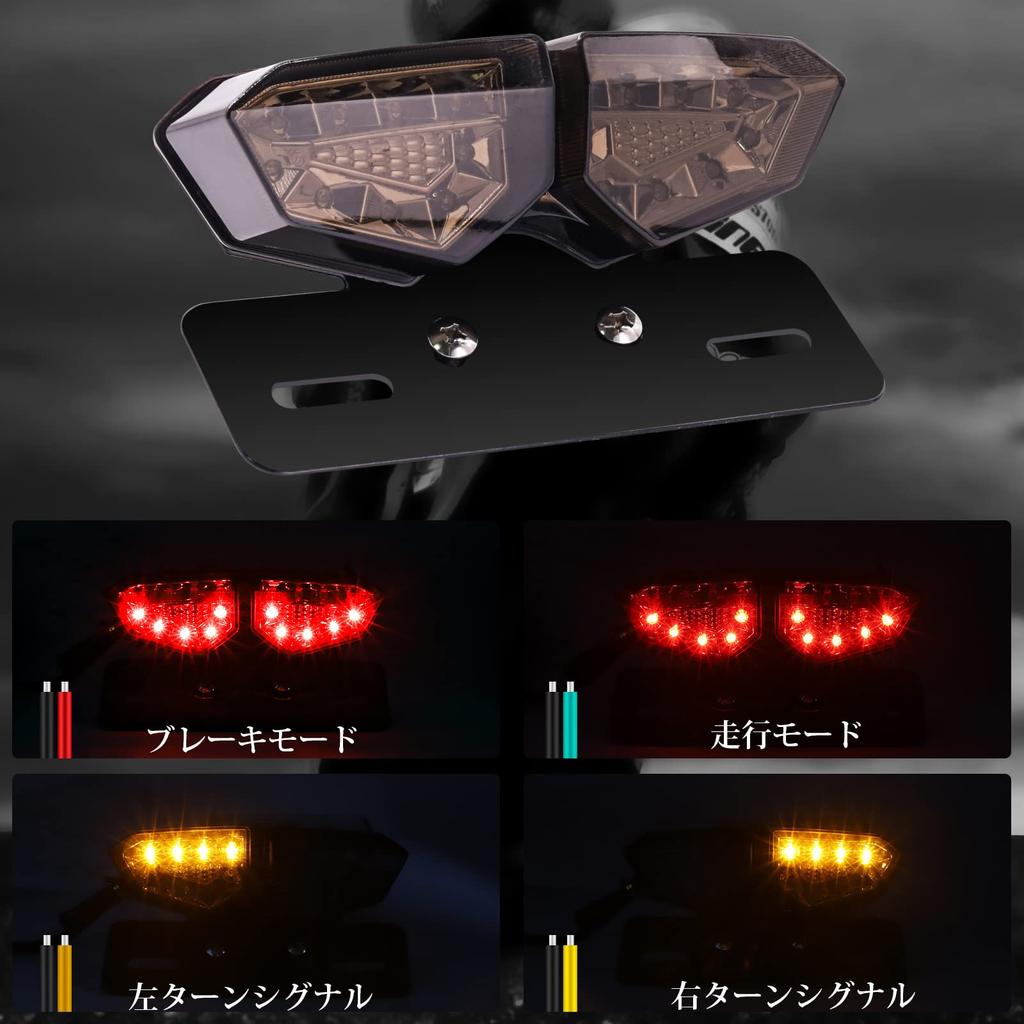 Ygmylandbb LED Motorcycle Tail Lamp Stop Lamp License Plate Light DC12V Vintage License Plate