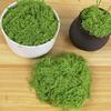 30/100G Artificial Green Moss DIY Crafts Indoor Plants Fairy Gardens Table Centerpieces Fish Tanks Microlandscape Decorative Fake Moss