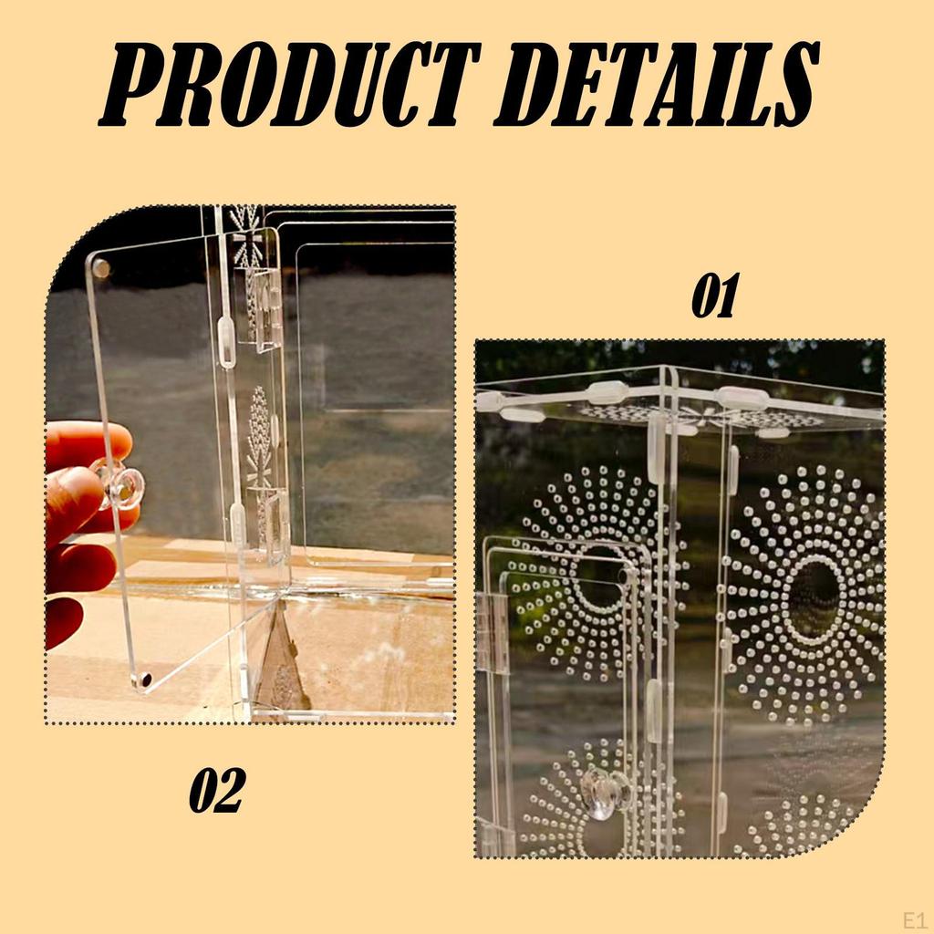 Acrylic Small Reptile Habitat Display Enclosure 360° Clear Multifunctional with Circular Vents