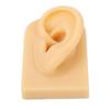 Ear Model Soft Silicone Flexible Ear Simulation Pierce Practice Jewelry Display Fake Ear Model Left