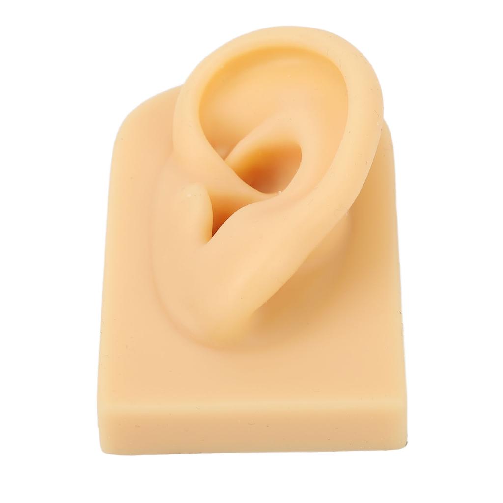 Ear Model Soft Silicone Flexible Ear Simulation Pierce Practice Jewelry Display Fake Ear Model Left