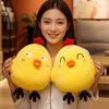 20x25cm Squishy Soft Yellow Chick Plush Pillow Cute Emotion Face Cartoon Animal Cushion Back Support Plushie Birthday Gift