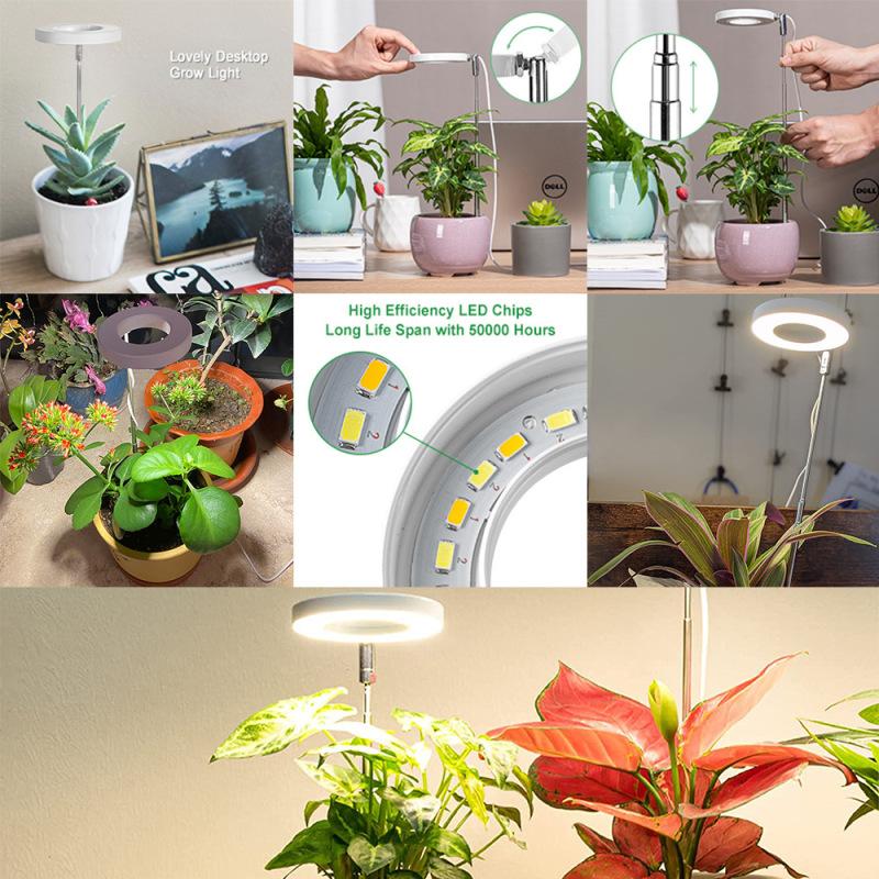 Plant Grow Light Full Spectrum Indoor LED Plant Grow Light Plant Fill Light