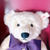 [USED] Steiff Hamleys Teddy Bear Charlotte with Certificate of Authenticity |1860|