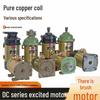 High-Power Pure Copper Brushed Motor for 24V-72V Electric Tricycles