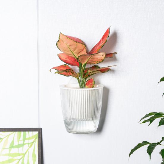 Self Watering Wall Mounted Flower Pot Double-Layer Root-Rotproof Plant Pot with Transparent Water Level for Indoor Plants Balcony Office Decor