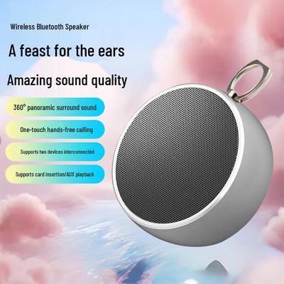 BS02 High-Volume Portable Bluetooth Speaker with Subwoofer for Indoor & Outdoor Use