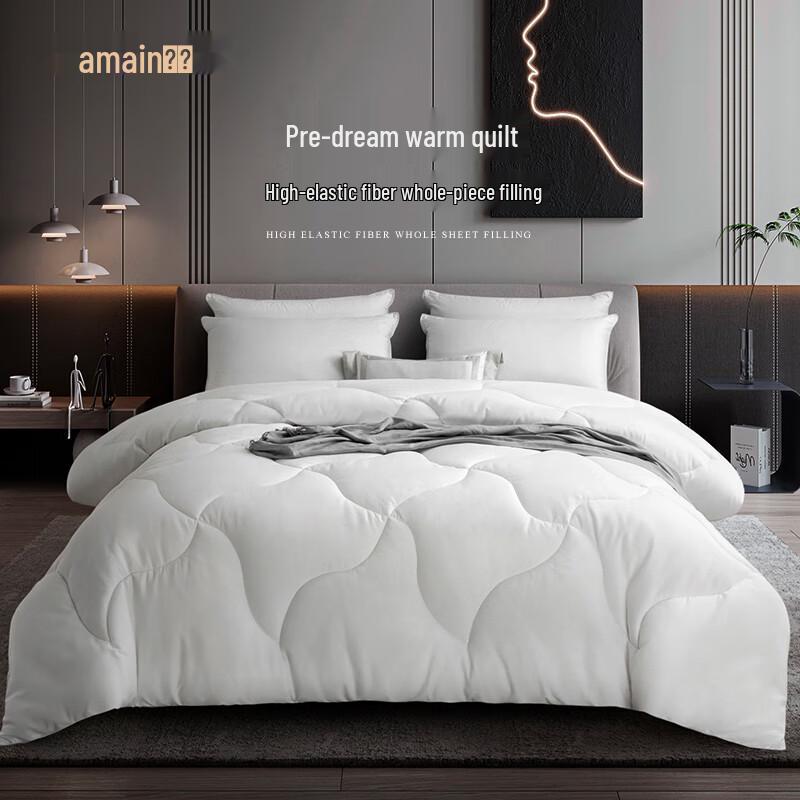 

Yamian Antibacterial Anti-Mite Brushed Fiber Winter Duvet