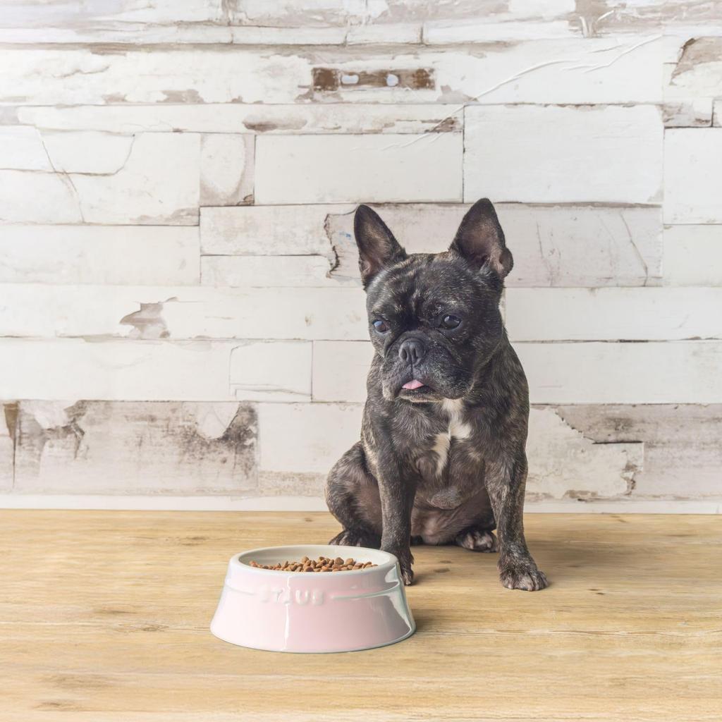 Staub Light Pink Pet Bowl, Ceramic, for Dogs and Cats, Food and Water Bowl, Dishwasher and Microwave Safe [Official Japanese Product] Z1034-546