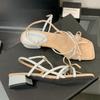 With Skirt Fairy Wind Square Head Open-toed Sandals Female Summer 2025 New French Stunning Low Heel Gentle Evening Shoes