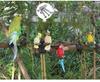 Parrot Tree Decoration: Cross-border Bird Model Resin Ornament for Courtyard