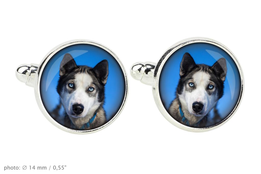 Siberian Husky, Chukcha - cufflinks in a box, handmade jewelry, product of the Art-Dog brand