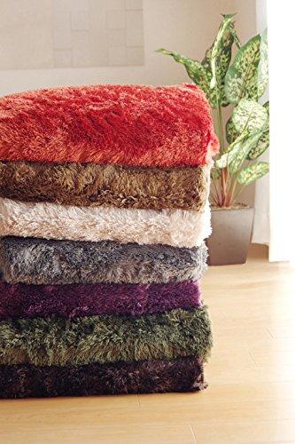 IKEHIKO Rug, 4-Tatami Size, Solid Shaggy Texture, Available In Large Orange, Approx. 200 X 300 Cm, Compatible with Heated Carpets, #3952239