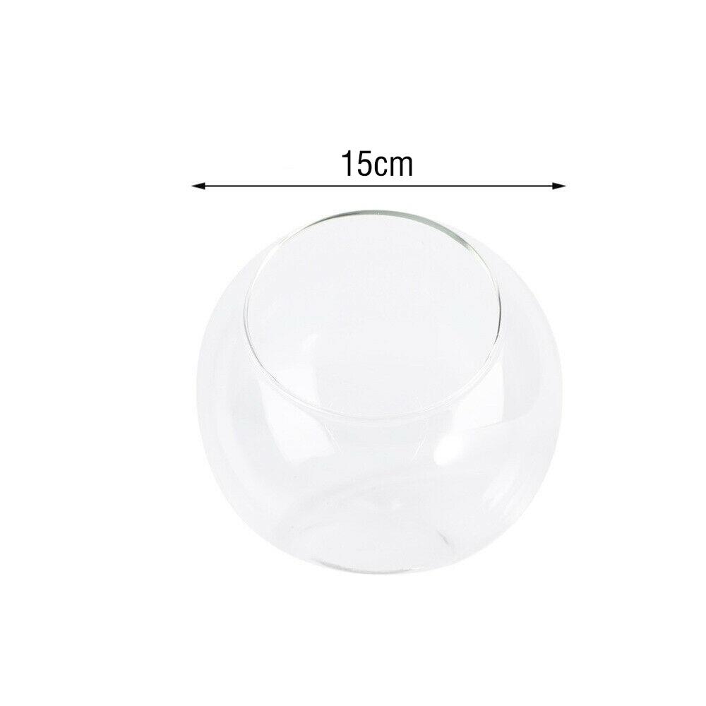 

Прозрачная стеклянная ваза для растений, для украшения дома, сада и магазина D