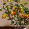 DIY Simulation Pomegranate Fruit 6-Fruit Fake Plants Simulation Foam Fruit Tree  Living Room