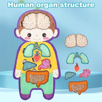 Human Internal Organ Puzzle Game Educational Human Body Structure Anatomy Puzzle Board Kids Toddlers Wooden Body Parts Matching Learning STEM Toy