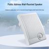 VISHU Professional IP Network Wall-Mounted Speaker CN Plug (adapter Included)