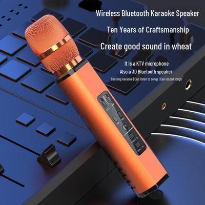 Accessori per audio e video – Microfoni