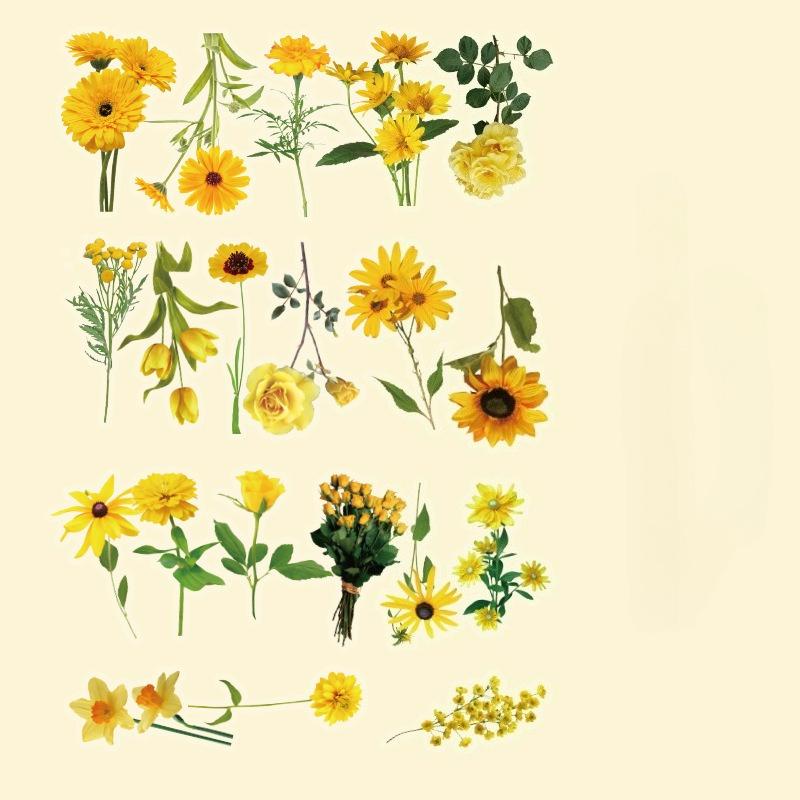40Pcs Fresh Flowers Plants Stickers DIY Decoration PET Waterproof Stickers for Planners Scrapbooking Laptops