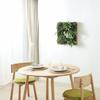 Fuji Boeki Framed Wall Greenery 55cm Fern 63907