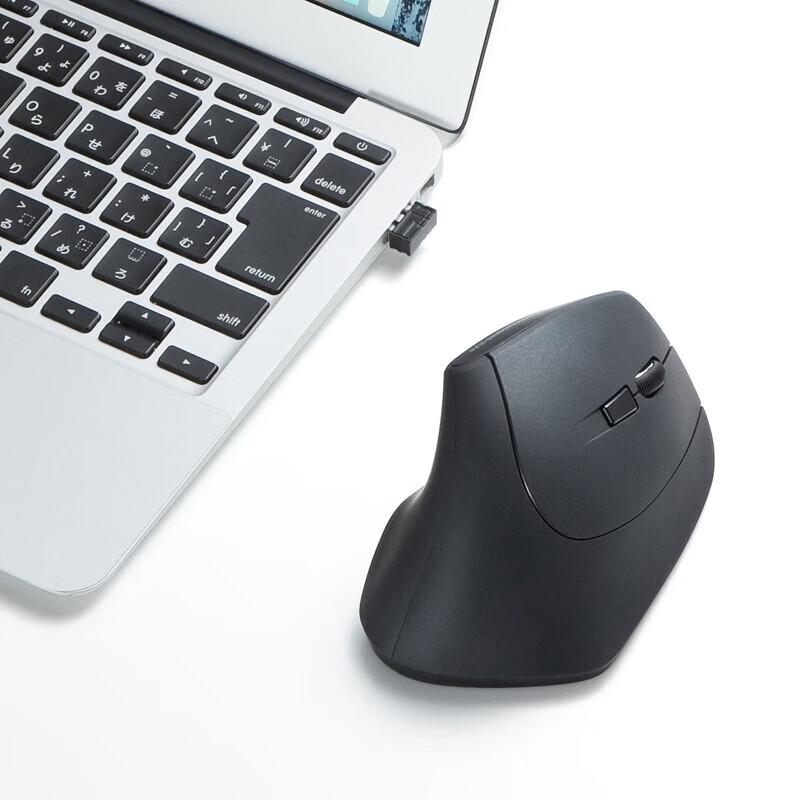 Sanwa Supply Ergonomic Vertical Wireless Mouse