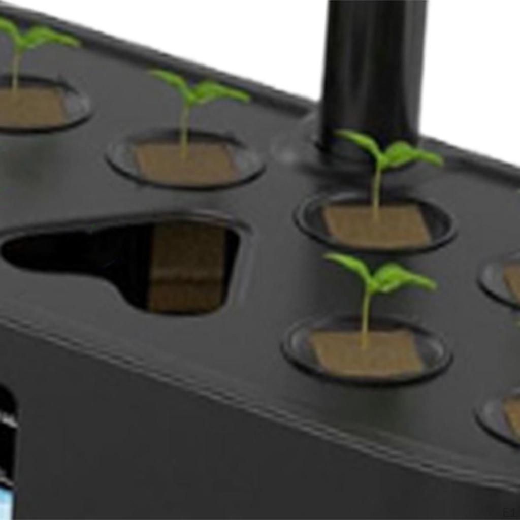 Hydroponics Growing System Garden Planter for Harvest Vegetable Lettuce Home Black
