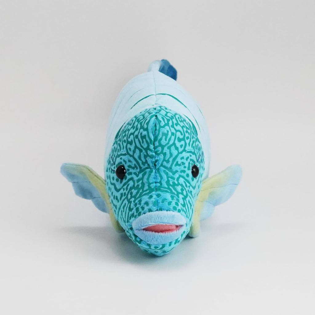 TST Advanced Exciting Illustrated Guide Napoleon Fish 10170 Total Length Approximately 30cm