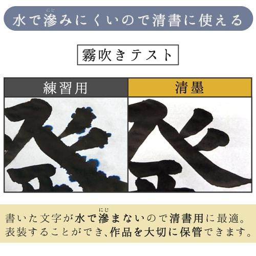 Sakura Crepas Indian ink, clear ink, for clean writing, 180ml, 2 bottles JWS2
